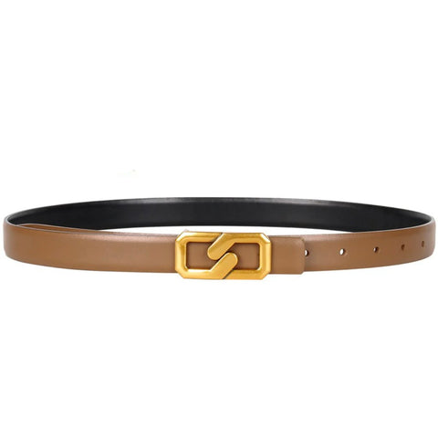 Gold Link Belt in Brown