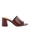 Adapt in Brown